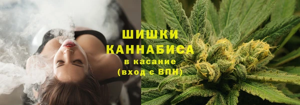 a pvp Богородск