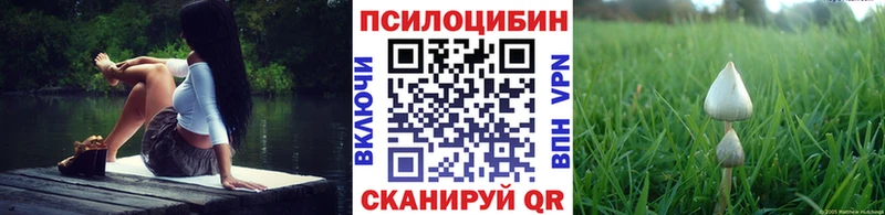 Галлюциногенные грибы прущие грибы  Велиж 